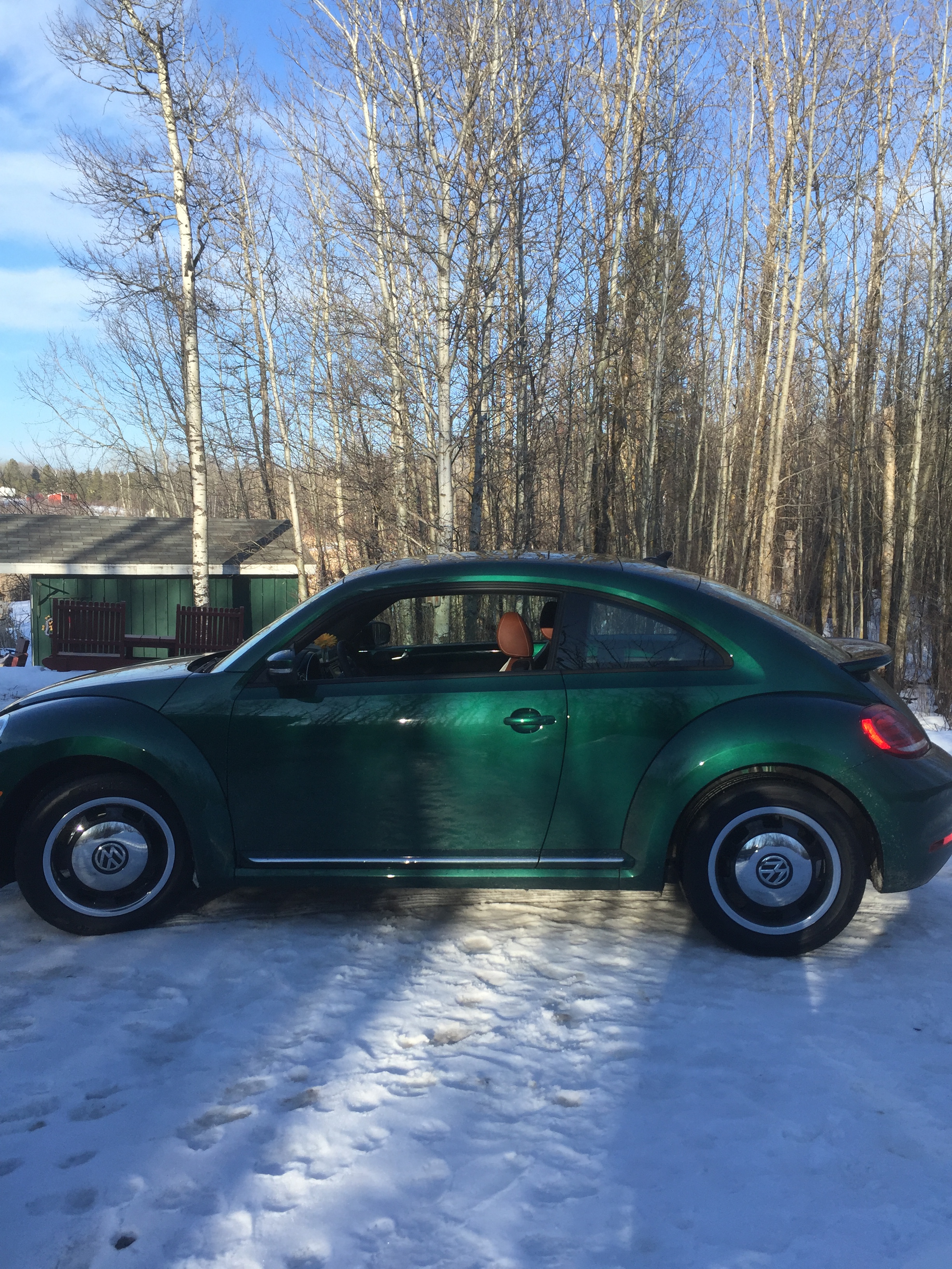 green punch buggy